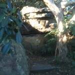 Another path through the bush