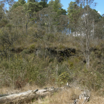 Dryness around an interesting sandstone wall