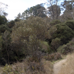 Dryness along the trail